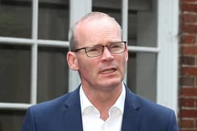 Simon Coveney speaking at Stormont in 2019.