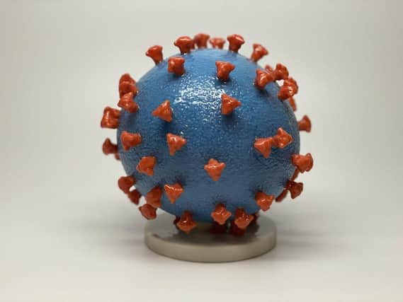 Novel Coronavirus SARS-CoV-2, by NIAID (licensed under CC BY 2.0)
