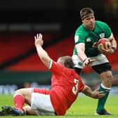 CJ Stander in action against Wales