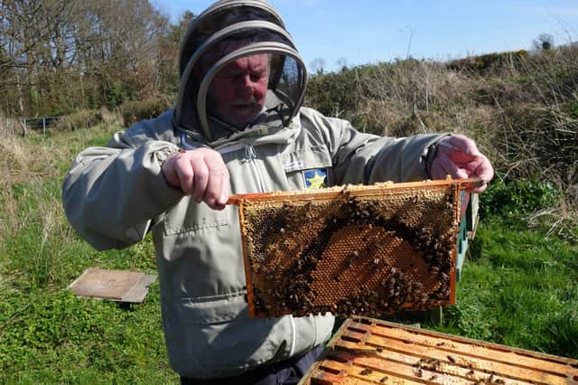 Fears over the future of Northern Ireland’s honeybees and local honey production