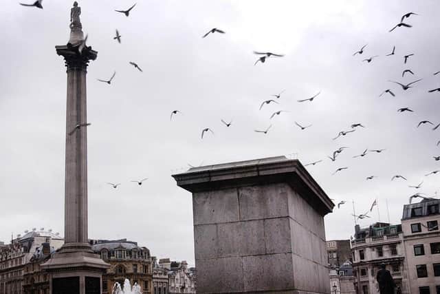 Make Stormont like the fourth Plinth in Trafalgar Square  London so that you can change the displays. Allow a unionist stone and then also a Father Ted one — which would probably get more visitors