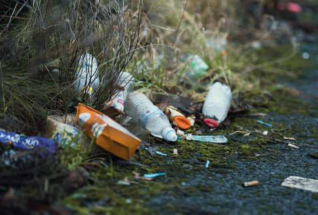 The report highlights rising levels of littering in NI