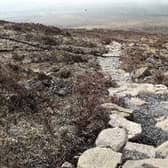 Walkers should stick to the path on Divis and Black Mountain