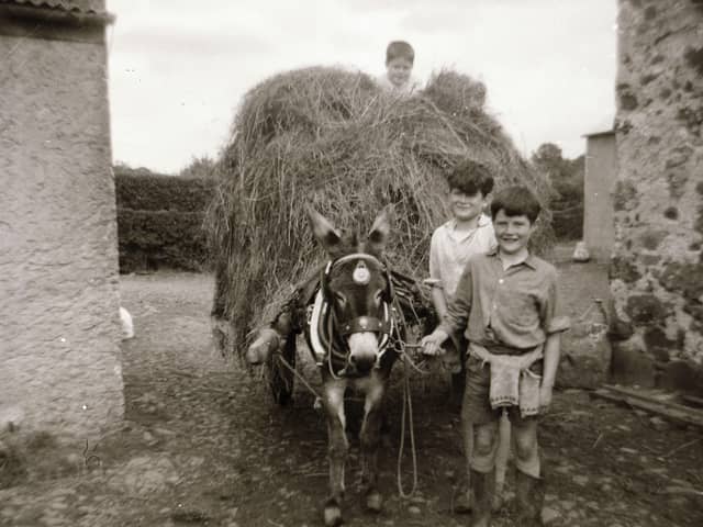 Many thanks to Farming Life reader Jonathan McCullough for sending this brilliant old photograph. Jonathan writes: “Pictured at the front is Raymond Uprichard farming in the 1960s in Corceeny, using his donkey, which he did until a tractor became available. Also behind him, his brother Dynes, and Philip Smyth on top of the hay cart.” If you have an old farming photograph that you would like to share with Farming Life, get in touch via email at darryl.armitage@jpimedia.co.uk