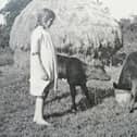 A lovely old photograph of Moira McAfee, aged 9, from Aghadowey, Co Londonderry, feeding calves in the Stack Garden in Drumale. Picture taken on July 13th 1926. Picture sent in by Farming Life reader Marcella McAuley