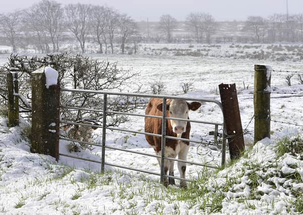 Temperatures plummet after warm Easter weekend. Snow fell overnight on Easter Monday in Northern Ireland.
 Picture by Arthur Allison/Pacemaker.