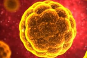 Coronavirus
