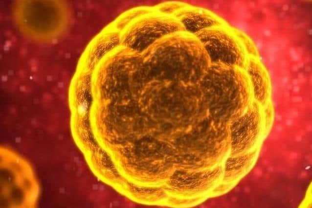 Coronavirus