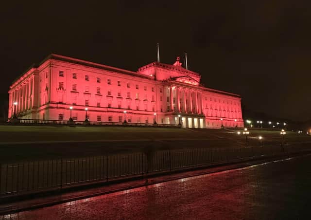 The Assembly Commission refused to light up Parliament Buildings for the event this year because they said it was being held on the wrong date. Photo David McCormick/Pacemaker Press