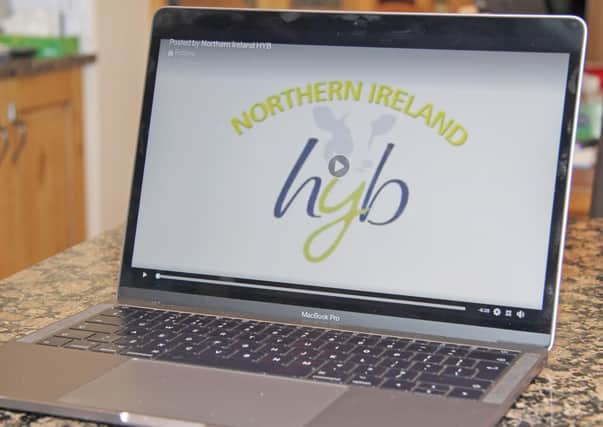 The Northern Ireland HYB has launched an online stockjudging competition.