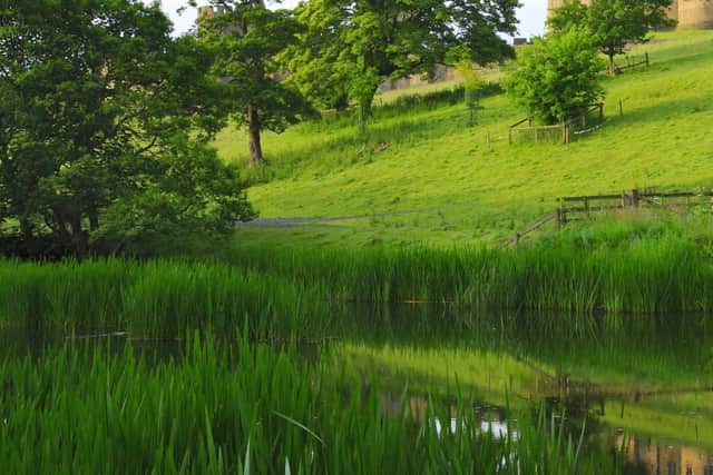 A rural scene in Northumberland. "In England when looking across acres of farmland and woodland there seems to be much less in the way of bungalow blight"