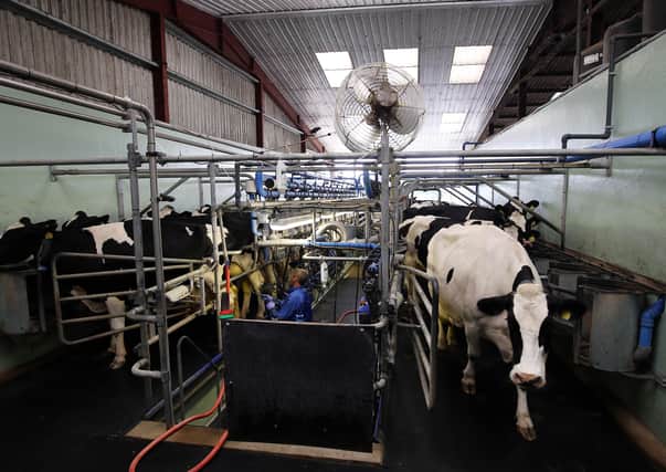 Dairy farmers ‘are hanging on by the skin of their teeth’ said Minette Batters