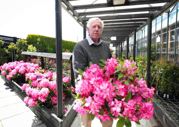 Robin Mercer, owner of the Hillmount Garden Centre at Gilnahirk, Belfast. .

Photograph by Kelvin Boyes / Press Eye.