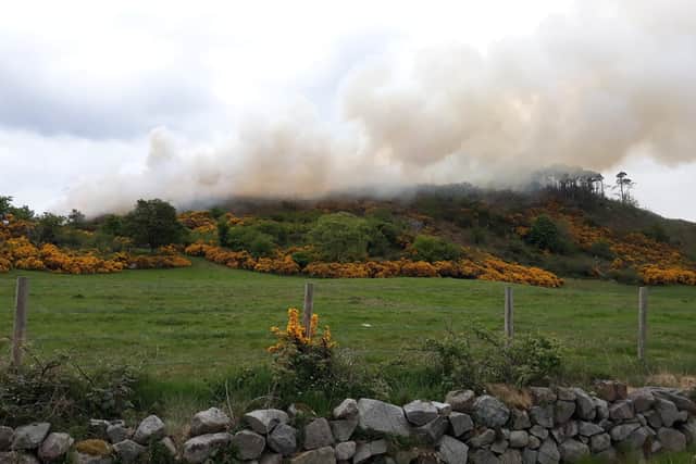 Undated NIFRSSouth handout photo taken with permission from the twiiter feed of @nifrssouth of a large forest fire in Castlewellan, Co Down