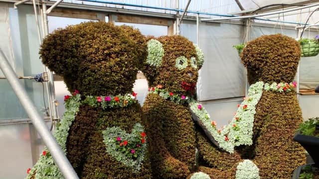the Ballymena Bears have had a makeover during their well-earned break