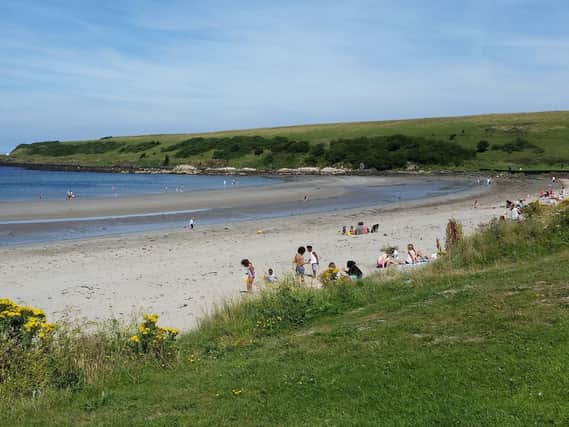 The beach at Brown's Bay in 2018.