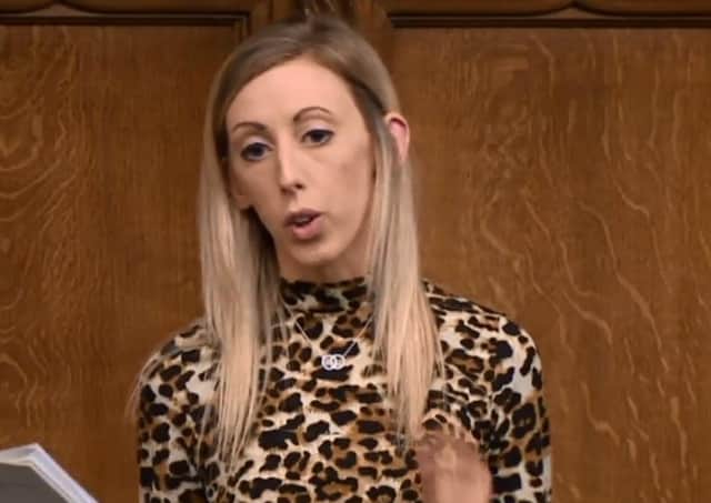 DUP MP Carla Lockhart, pictured in the Commons today, said ‘the will of the people of Northern Ireland has been ignored’