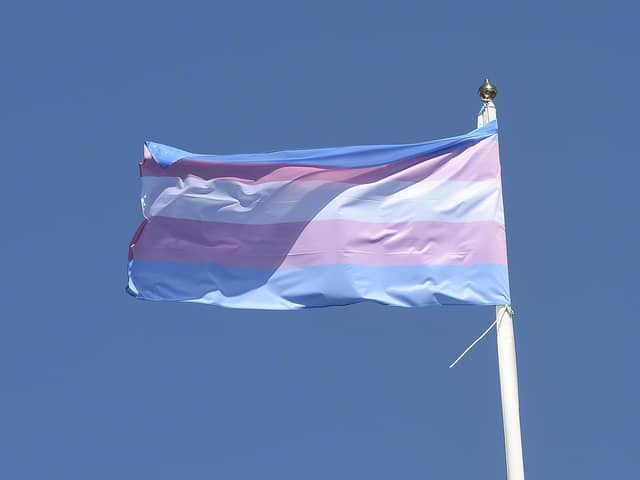 The blue, white and pink flag typically used by transgender campaigners