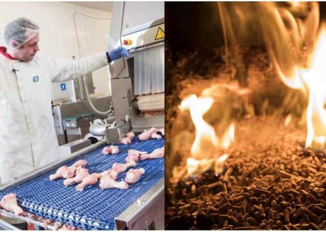 Moy Park manager calculated that its farmers could get £500m from RHI – and the company benefited from that through a complex pricing structure.