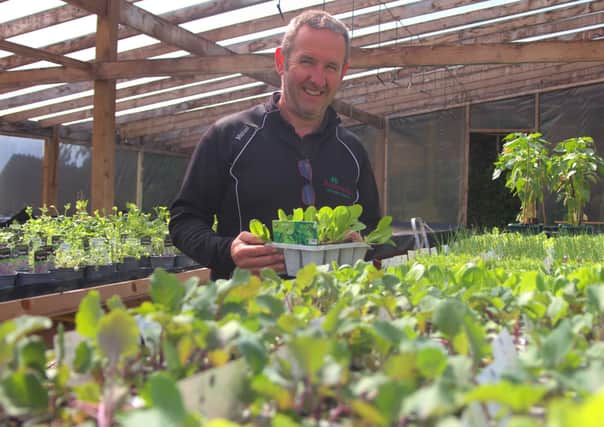 Michael Magee, from Ballycastle Garden Centre, getting seedlings organised for ‘growing packs’ to be provided to local residents as part of the Sowing the Seeds of Recovery Project, funded through the Housing Executive’s Covid-19 Response Fund and delivered by Ballycastle Community Development Group