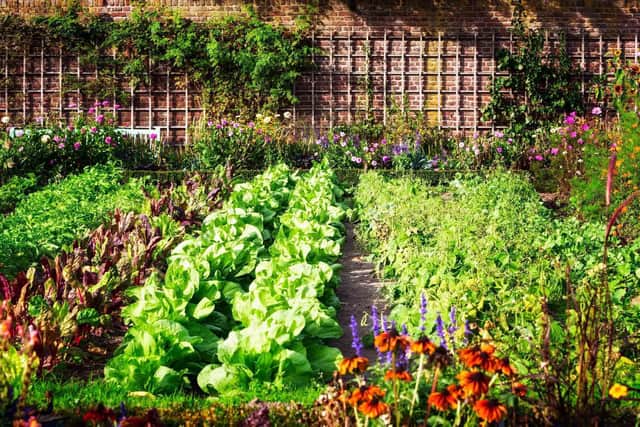 Growing your own vegetables or getting an allotment is a must-do