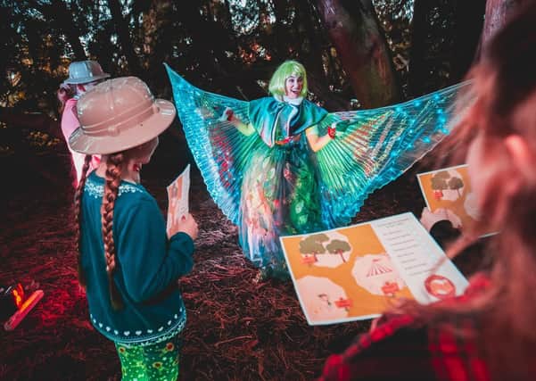 The Christmas Tree Fairy is one of the characters you will meet during Santa's Night Safari