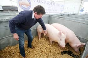 Kilkeel pig farmer Trevor Shields says farmers are desperate due to the pressures. Photo: Jonathan Porter/PressEye.com