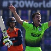 Ireland's Curtis Campher (R) celebrates after taking the wicket of Netherland's Scott Edwards during the ICC men's Twenty20 World Cup match