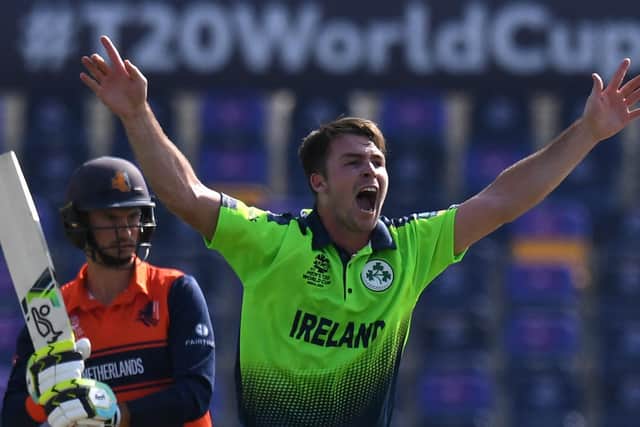 Ireland's Curtis Campher (R) celebrates after taking the wicket of Netherland's Scott Edwards during the ICC men's Twenty20 World Cup match