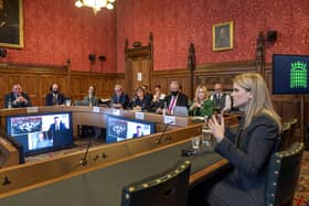 Facebook whistleblower Frances Haugen, above right, raised issues of concern in her appearance before Westminster’s Draft Online Safety Bill committee
