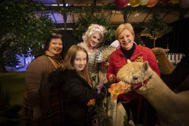 Pictured at the event are Naomi Waite, director of marketing, Savanna Waite, TNI, Christine Clare, Georgian Character from Castle Ward and Pamela Houston, Cranfield Alpacas