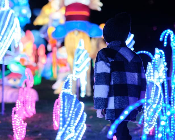 The Bright Lights Festival in Botanic Gardens is taking place from November 11, 2021 to January 9, 2022.