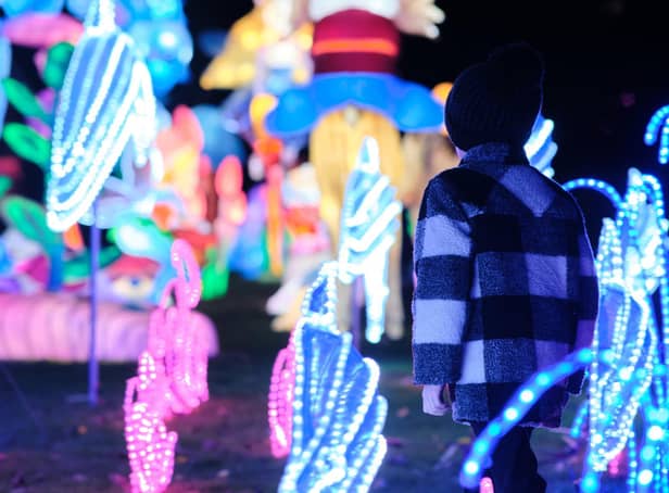 The Bright Lights Festival in Botanic Gardens is taking place from November 11, 2021 to January 9, 2022.