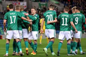 Northern Ireland players celebrate after Lithuania's Benas Satkus scores an own goal during the FIFA World Cup Qualifying match at Windsor Park. Pic by PA.