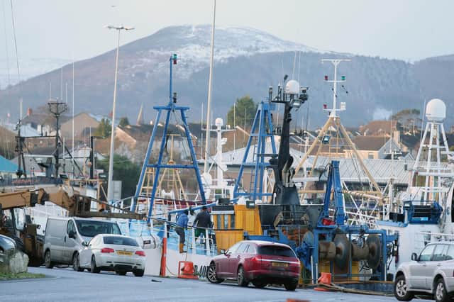 Kilkeel harbour and how BREXIT is affecting the fishing industry. 

Picture by Jonathan Porter/PressEye.com