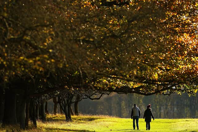 It has been sunny across the British Isles. This image was taken on Friday in Phoenix park in Dublin on Friday. Photo: Brian Lawless/PA Wire