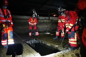Firefighters rescuing four cattle from a slurry tank in Dromore Co Down on Wednesday 24 November. Photo: NIFRS.