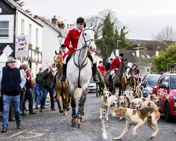 Northern Ireland remains the only place in the UK that allows hunting wild mammals with dogs