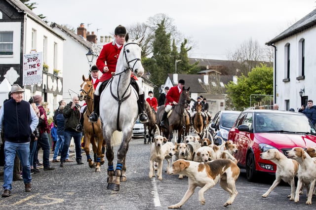 Northern Ireland remains the only place in the UK that allows hunting wild mammals with dogs