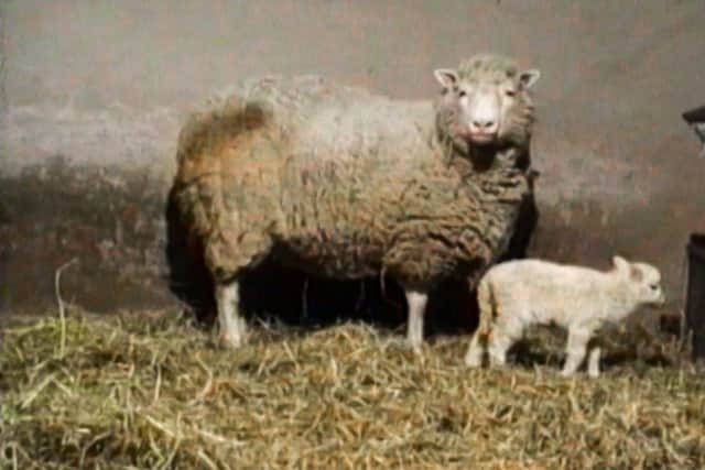 Dolly with her baby