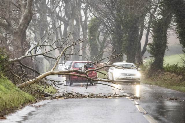 07/12/21 MCAULEY MULTIMEDIA- NORTHERN IRELAND..Storm Barra Batters the North Coast of Northern Ireland on Tuesday, thousands of customers have been left without power and many roads blocked by trees as the storm takes grip- Fallen trees near Ballycastle.Pic Steven McAuley/McAuley Multimedia