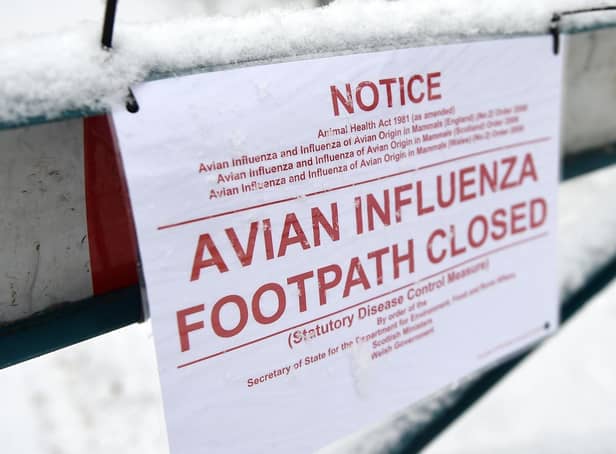 A new case of avian flu has been found in Enniskillen.