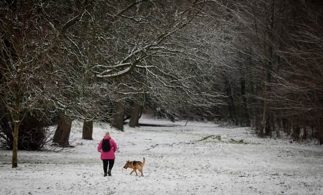 Snow could be on the way for Christmas