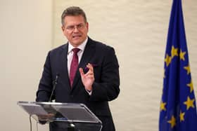 EU Commission Vice President Maros Sefcovic speaking at Europe House in Westminster, London after a meeting at Lancaster House in London, the fourth meeting to be held to attempt to resolve issues with the Northern Ireland Protocol. Picture date: Friday November 12, 2021.