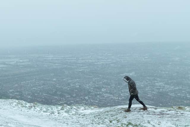 Snowy scenes on top of the Cavehill in 2020.