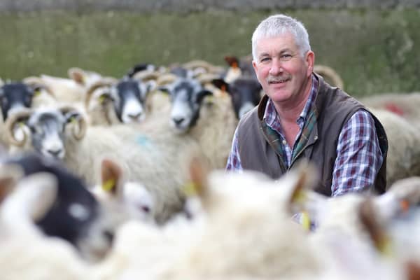 Victor Chestnutt among his beloved sheep on the family farm. The UFU president has had to step outside his comfort zone recently in order to participate in NI Protocol negotiations with EU representatives, the British Government and agriculture minister Edwin Poots, among others