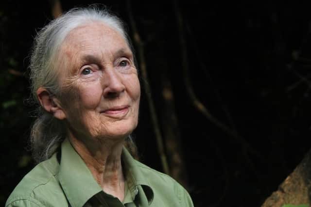 Famed anthropologist Dr Jane Goodall is a committed vegan for environmental reasons