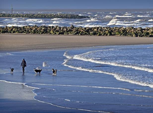 Dog owners are being asked to be vigilant after dogs fall sick at the beach in England.