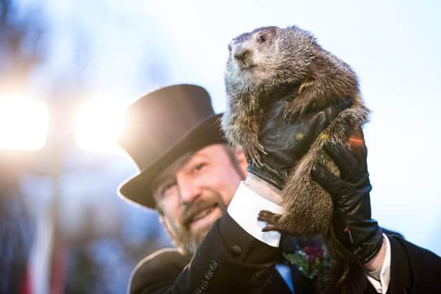 Groundhog Day 2022: What is Groundhog Day, meaning behind US holiday explained - and who is Punxsutawney Phil