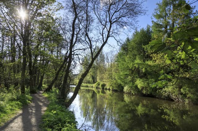 The River Lagan in spring